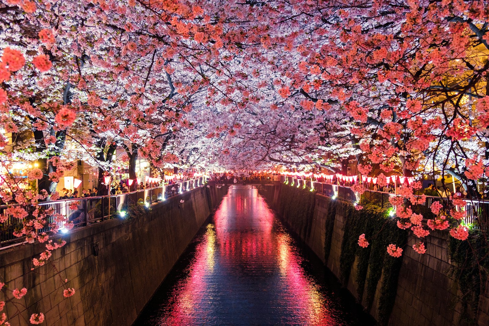 How to Choose the Best eSIM for Japan Travel